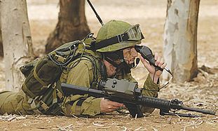 IDF soldier