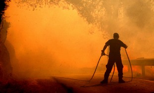 Forest Fire Jerusalem Yad Vashem