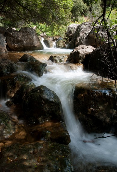 Israel The Beautiful: Do Go Chasing Waterfalls - Lifestyle - Jerusalem Post