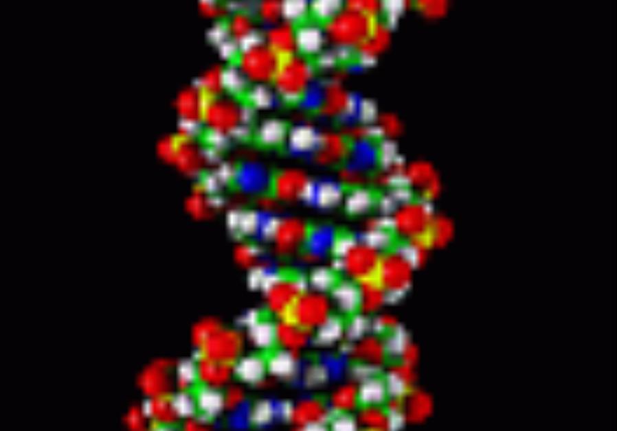 Exclusive Ashkenazi Genotype Linked To Longevity Health And Sci Tech Jerusalem Post 5415