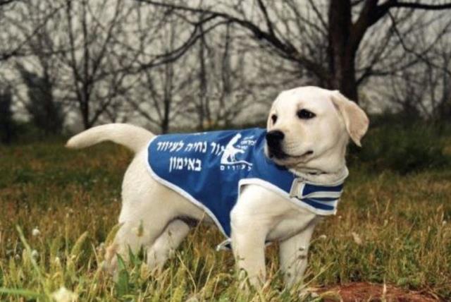 Israel Guide Dog Center for the Blind