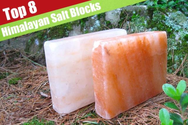 8 Best Himalayan Salt Plate/Block Reviewed For 2016 (photo credit: PR)