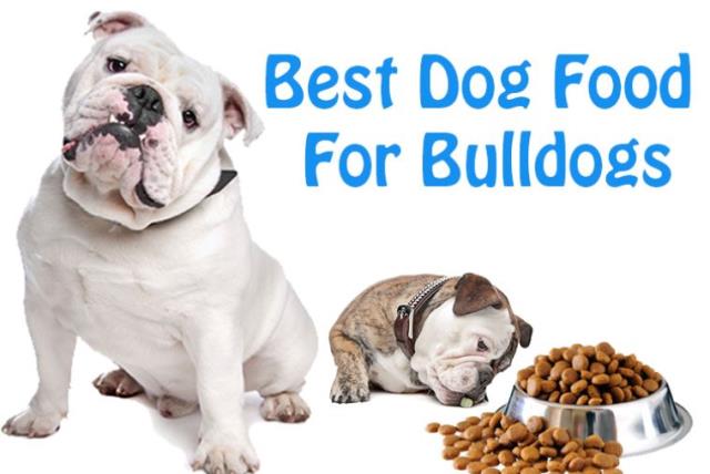 Best Dog Food For Bulldogs What Every Dog Owner Should Know The Jerusalem Post