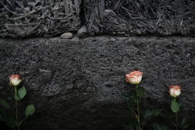 Flowers are placed at the "death wall" at the former Nazi German concentration and extermination camp Auschwitz-Birkenau in Oswiecim, Poland (photo credit: REUTERS)