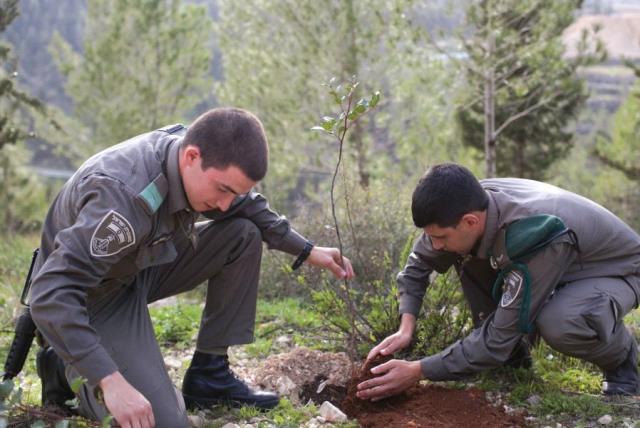 BORDER POLICEMEN plant trees for Tu Bishvat in the Arazim Valley near Jerusalem in 2013. (photo credit: MARC ISRAEL SELLEM/THE JERUSALEM POST)