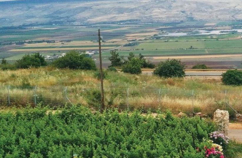 The lush Kedesh Valley terrain where the Na’aman Winery is based (photo credit: NA’AMAN WINERY)