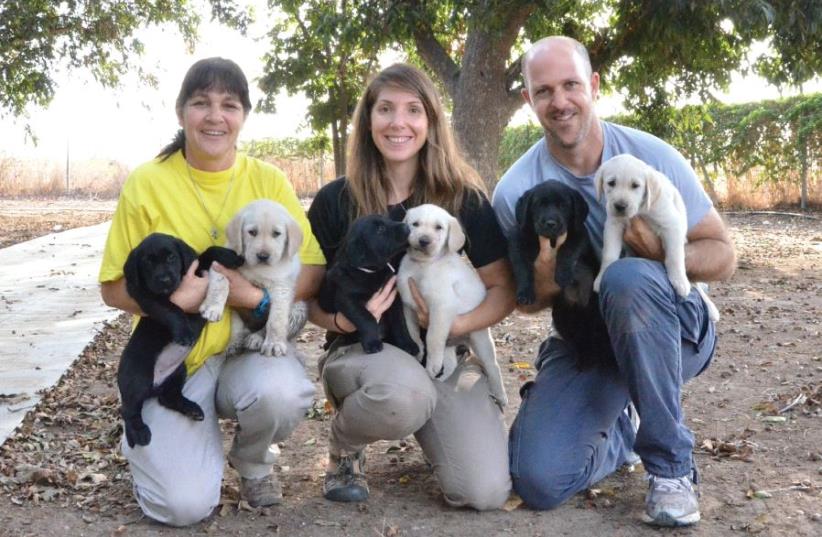 From the puppy-raising department: (from left) Orna Braun, Dana Halperin, Eli Ben-Boher (photo credit: ELI BEN BOHER)