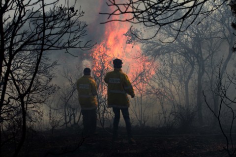 Mount Carmel Fire – The Fourth Day of the Fight - Green Israel ...