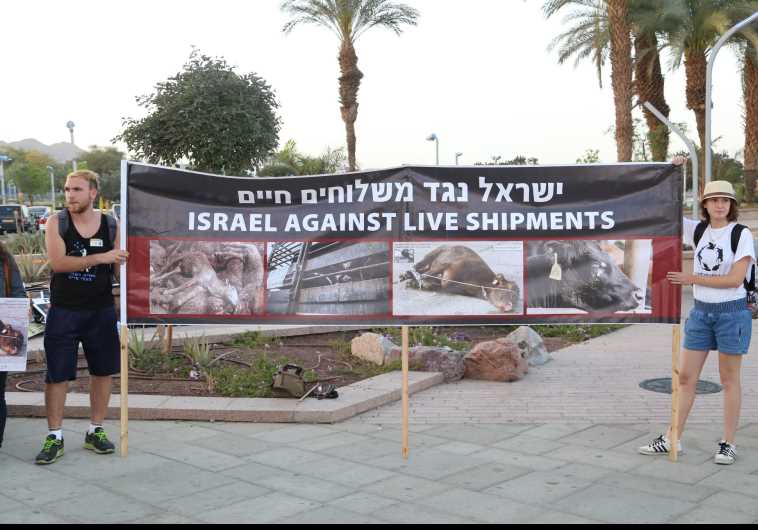 Activist protest in Eilat (Picture: Yoav Ben-Dov)