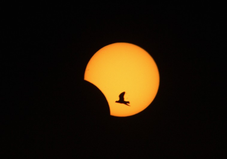 Partial solar eclipse to be visible in Israel on Friday - Israel News ...