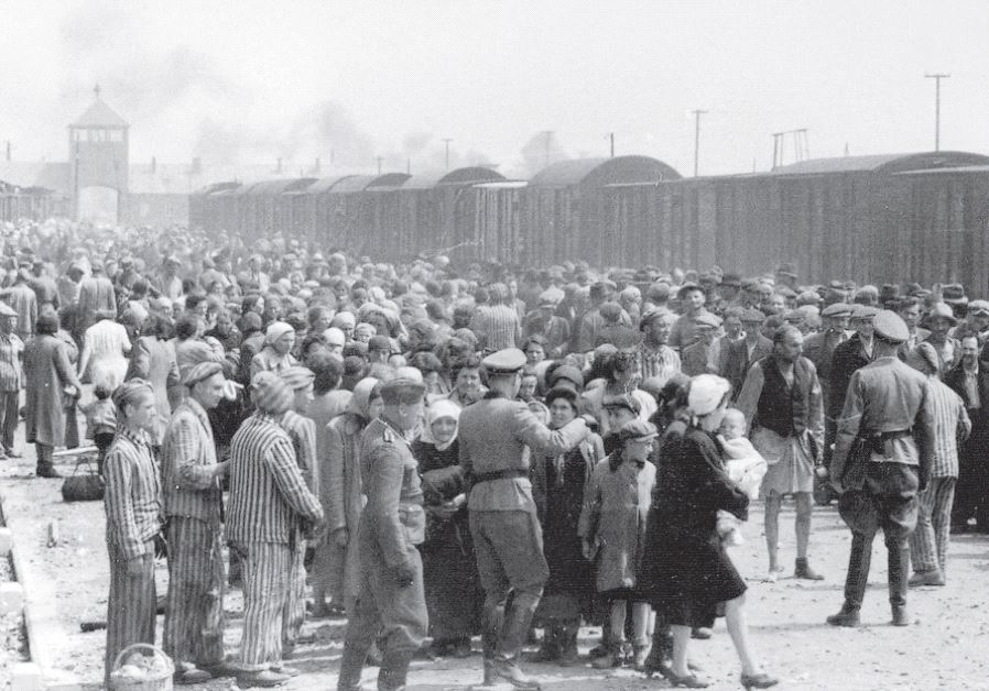 Restored letter unearthed at Auschwitz details crematoria horror ...