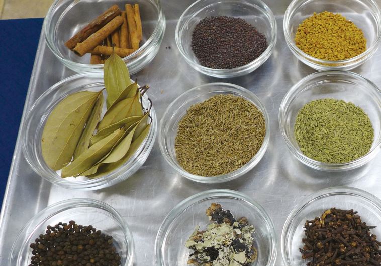 Indian cooking spices (credit: YAKIR LEVY)