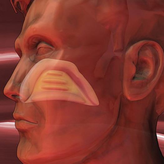 runny nose anatomy