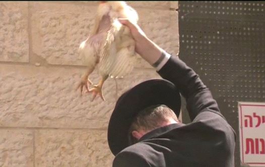 Kaprot Ritual on Yom Kippur(Credit: Screenshot)
