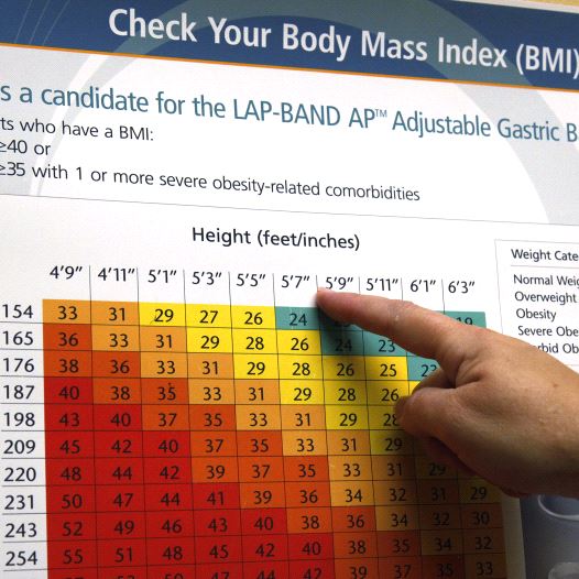 BMI chart.  (credit: REUTERS)